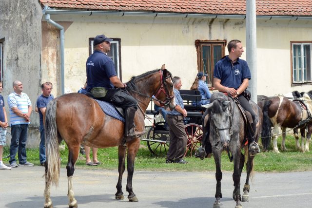 Virovski_konjanici