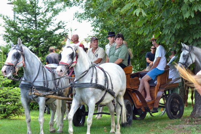 Virovski_konjanici_2